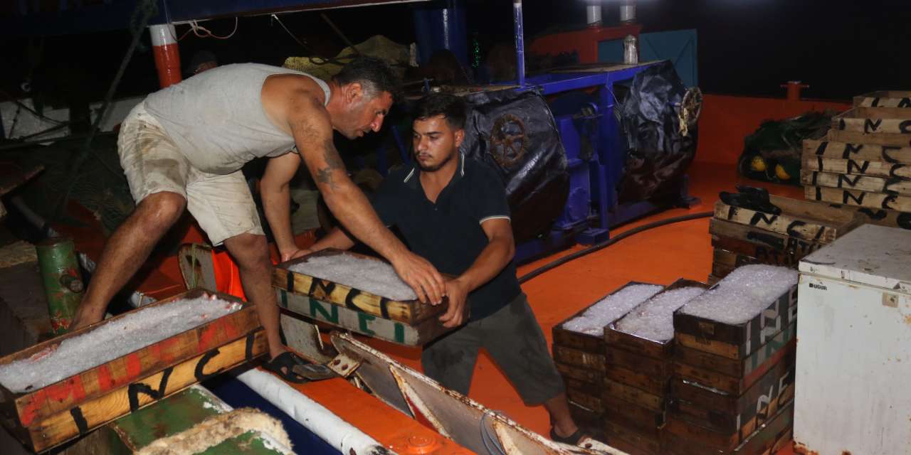 1 kilo parasina kasayla aldilar cesit cesit satildi q8R7Z1NJ