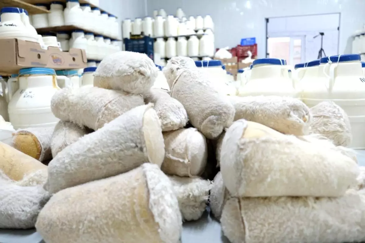 erzincan tulum peynirinin essiz lezzeti IU2gRdCP