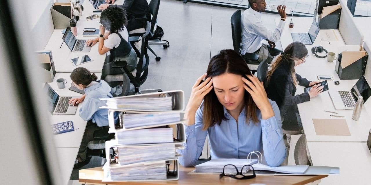 ovpde dikkat ceken adim esnek calisma ve 25 yas alti ogrencilere bes geliyor pQjcfvHi