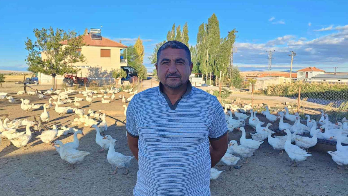 yozgatli girisimcinin dikkat ceken basarisi 5 kazla basladi 850ye yukseldi xTZYSnJc