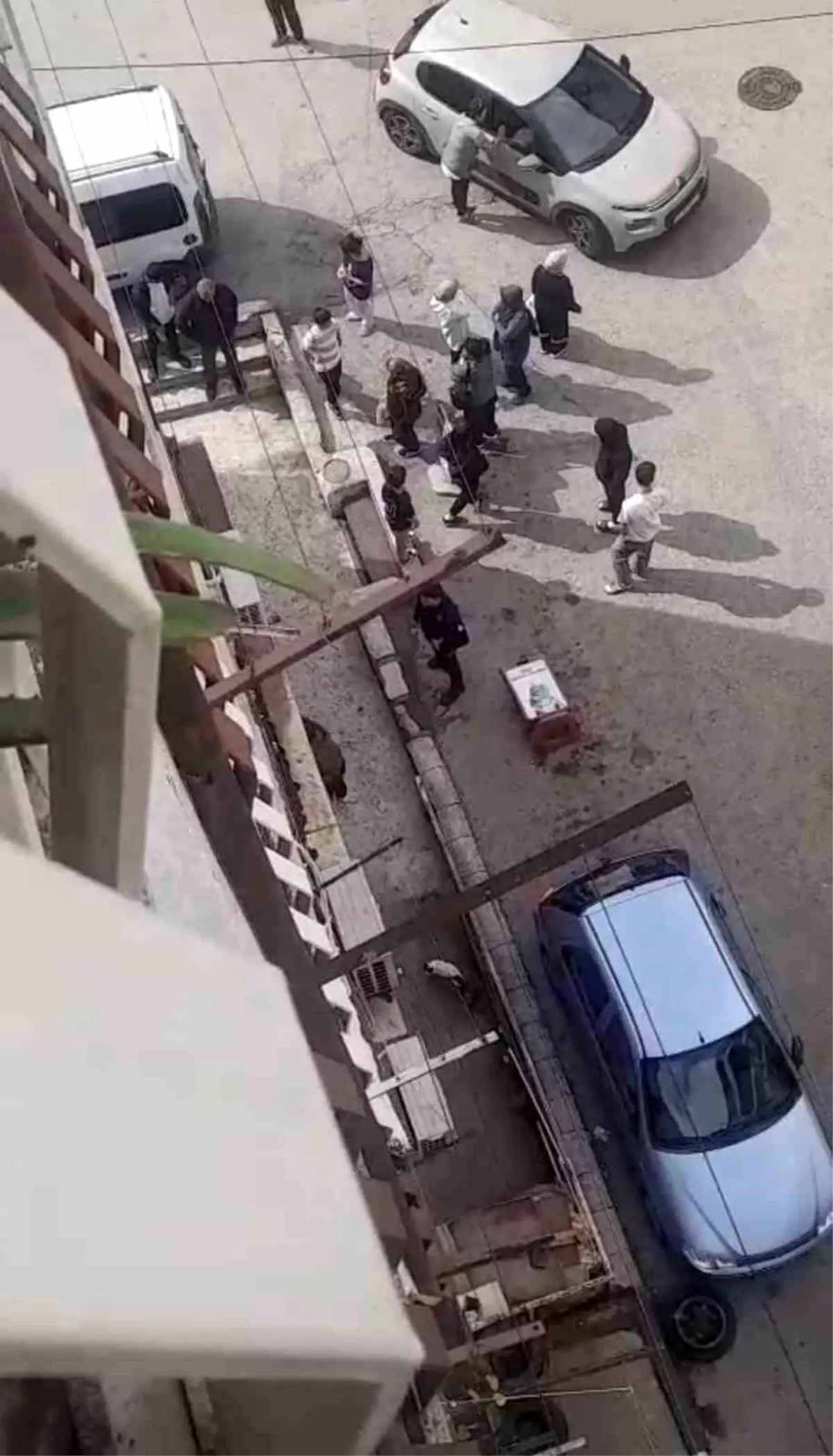 bursada petshopta taciz iddiasi aile isletmeyi basti DQYFkWAs