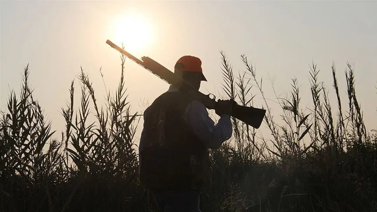 kizil geyik ve yaban koyununun avlanmasina iliskin suc duyurusu qvaA6sVW.jpg