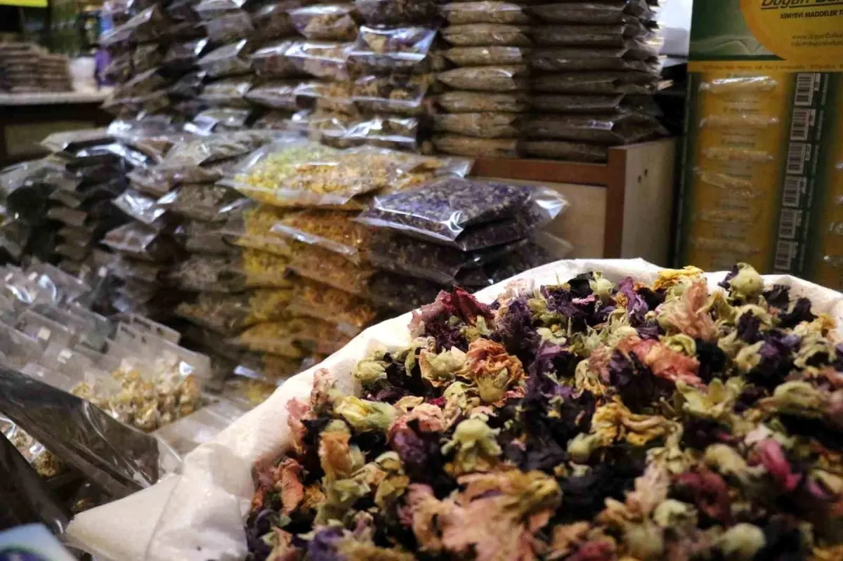 sakaryada soguk alginligina karsi aktarlara yogun ilgi AnaEk3D4