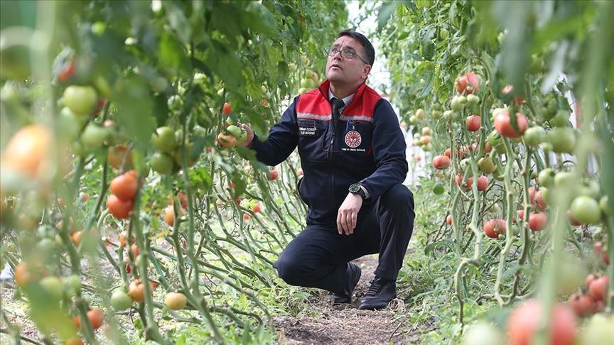 ziraat muhendislerinin olusturdugu sera vatandaslara ilham oldu CKYYPm53