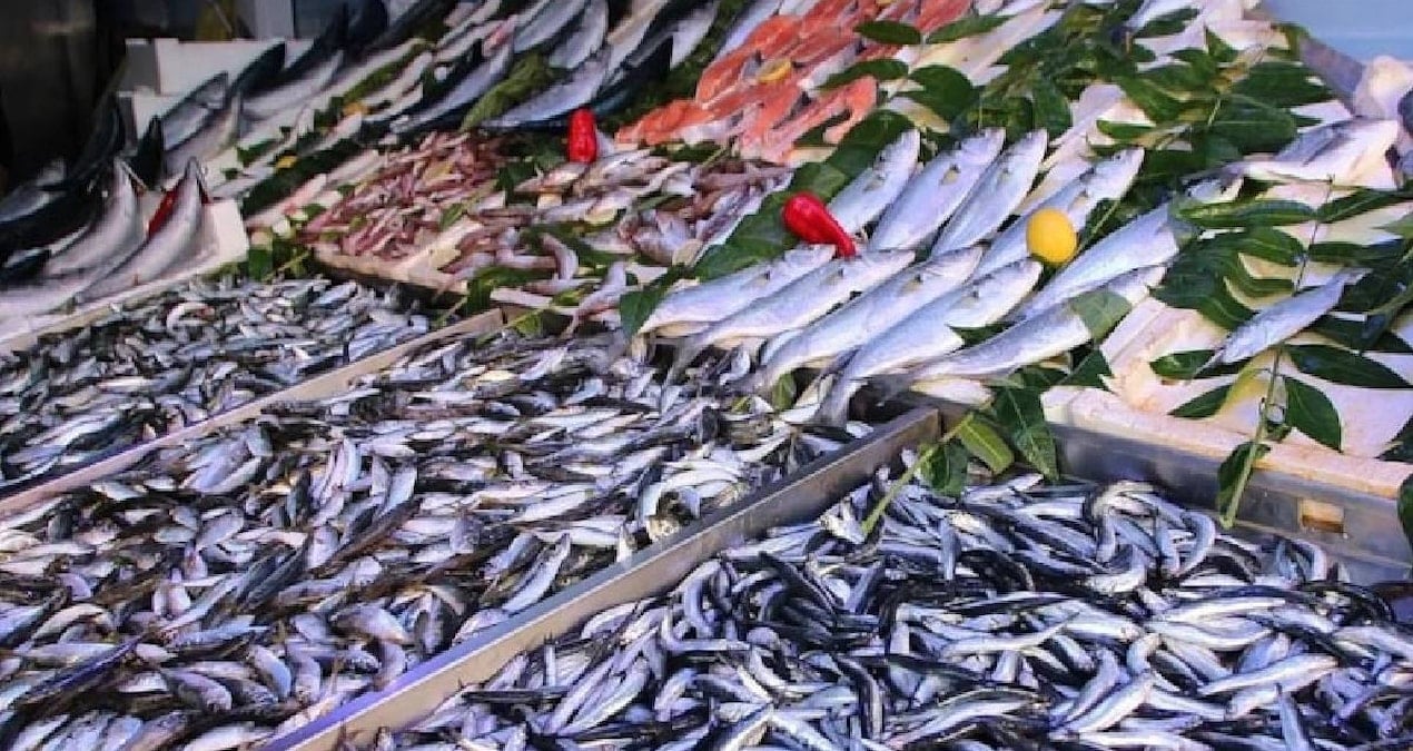 En tehlikeli balık türü açıklandı: Kansere neden oluyor