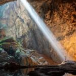 tesadufen-dunyanin-en-buyugunu-buldu-ormanin-derinliklerinde-kaybolup-17-yil-sonra-yeniden-bulundu-X75I3sYM