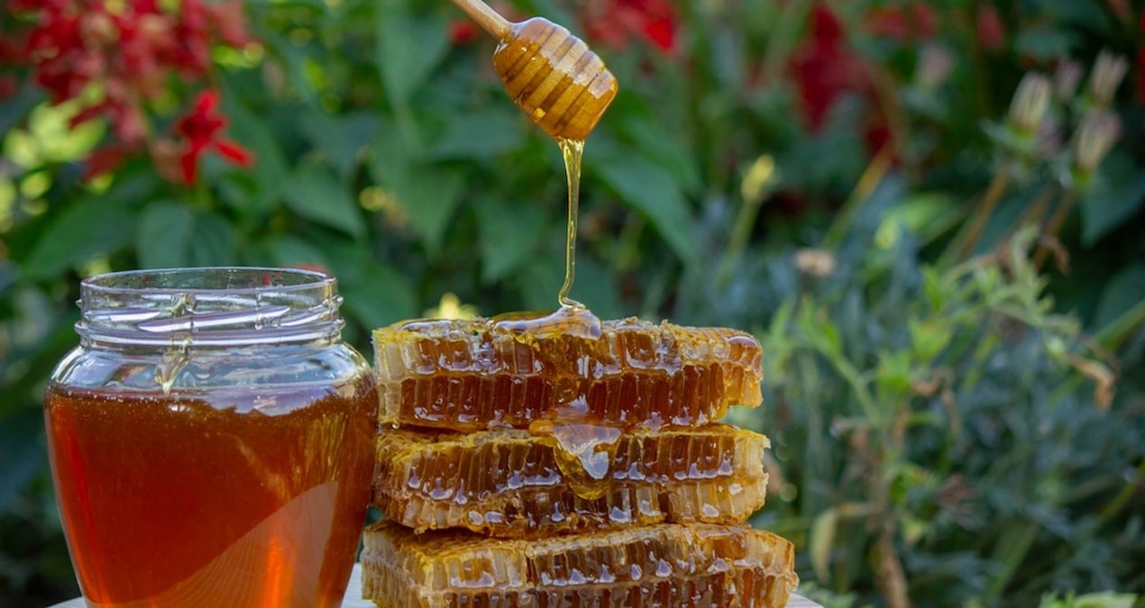 Türkiye’nin Balı Dünyayı Fethediyor: 31 Ülke Sipariş İçin Sıra Bekliyor