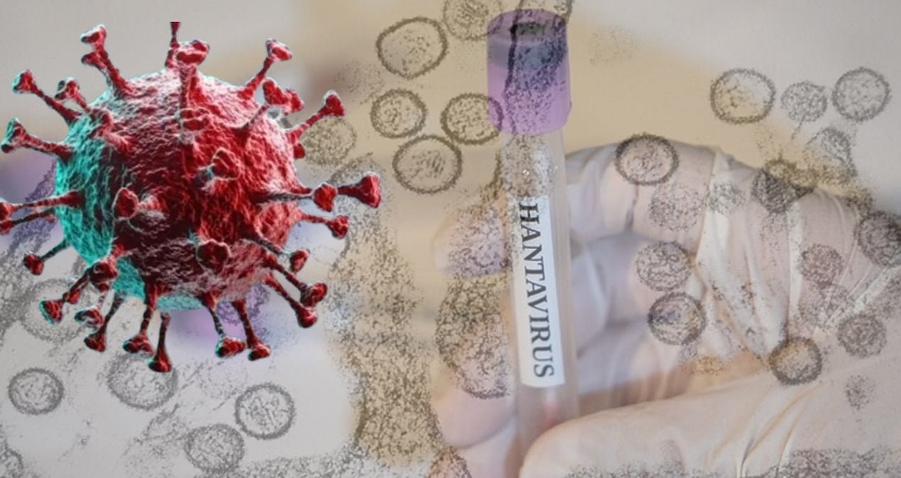 hantavirus-bir-ulkeye-daha-sicradi-birkac-ay-once-dogu-avrupadaymis-V6XHNzjk